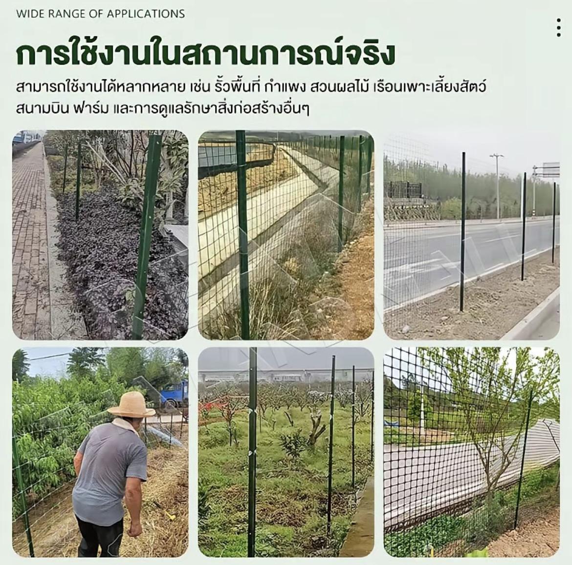 เสารั้วเหล็ก Y Post ขนาด 1.3m/1.5m/1.8m ทนทาน ป้องกันสัตว์และผู้บุกรุก ใช้งานกลางแจ้งได้นาน 10 ปี ติดตั้งง่าย สำหรับรั้วฟาร์ม รั้วป้องกันปศุสัตว์ รั้วป้องกันสวนผลไม้