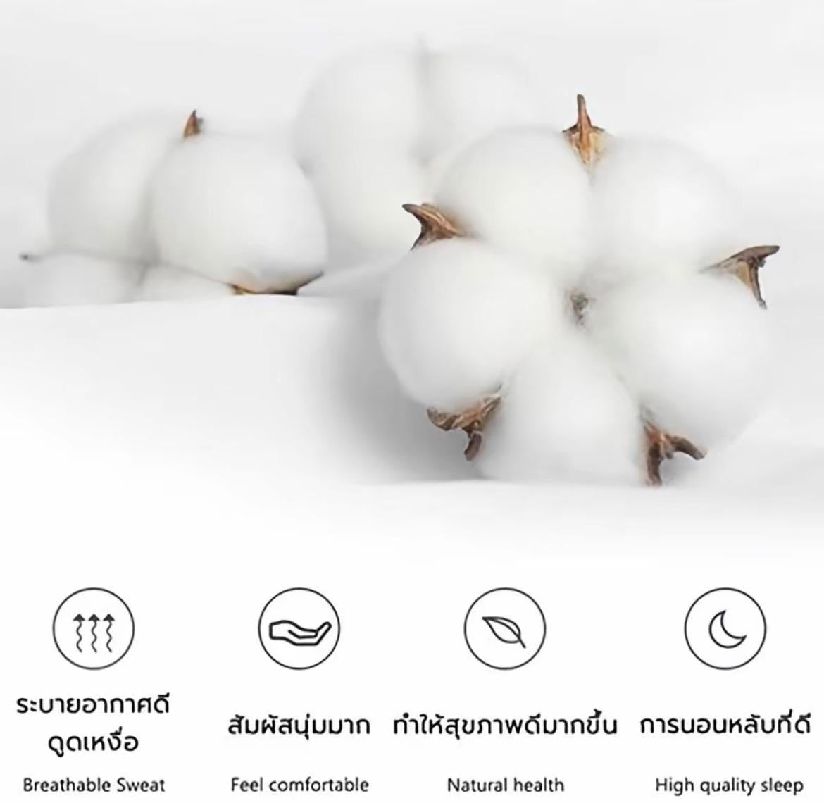 ปลอกหมอนเย็น ความรู้สึกเย็น น้ําแข็ง หมอนกันเปื้อน (48*74 ซม) ปลอกหมอนสีพื้น เย็น ระบายอากาศ กันเหงื่อ ข้างกันไรฝุ่น